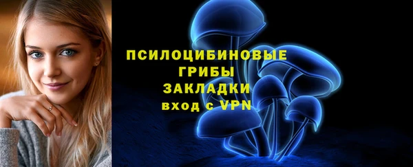 марки lsd Гусь-Хрустальный