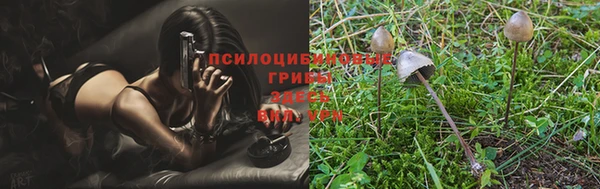 экстази Гусиноозёрск