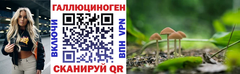Псилоцибиновые грибы GOLDEN TEACHER  Купить  Куртамыш 